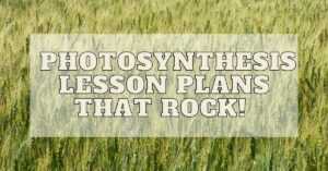 photosyntesis-lesson-plans