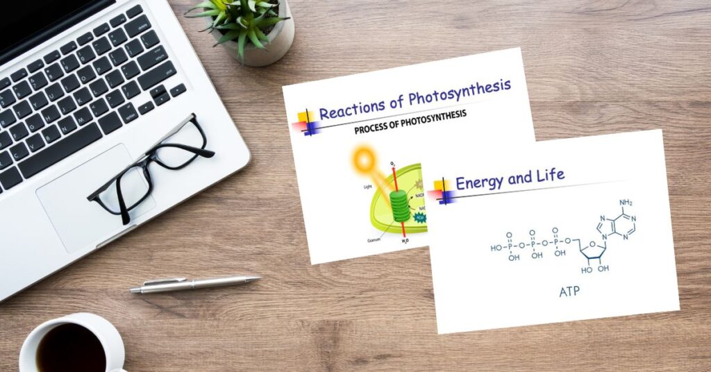 photosynthesis-powerpoint-slides
